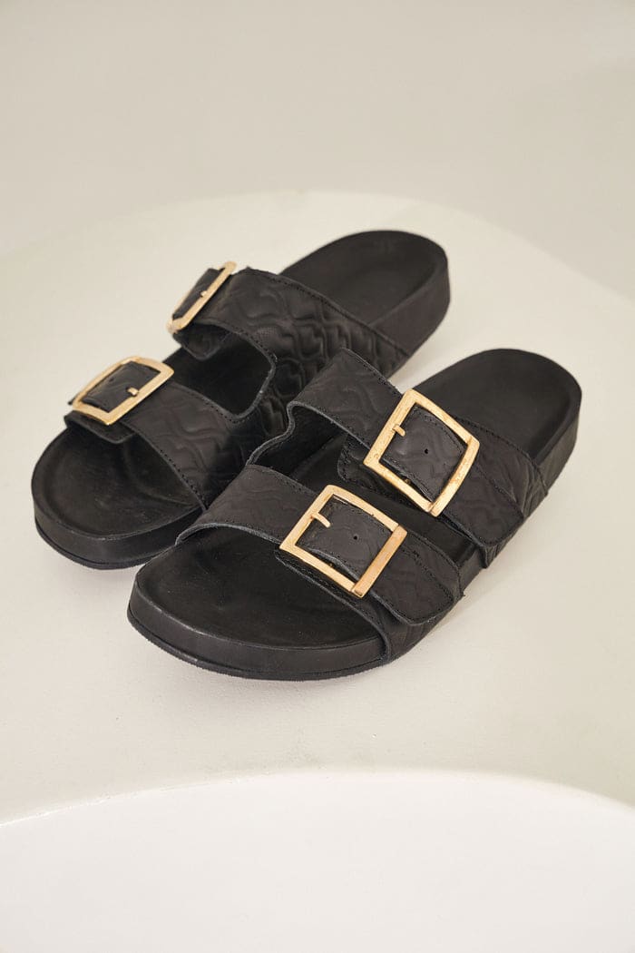 Birken Palma