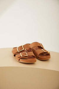 Birken Palma