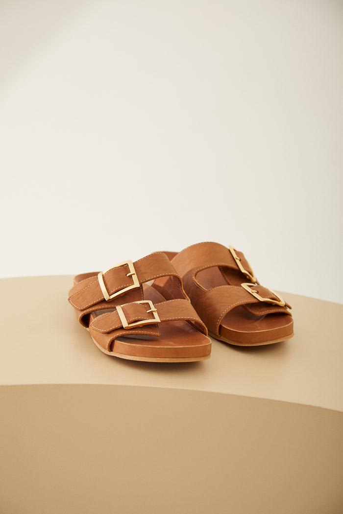 Birken Palma