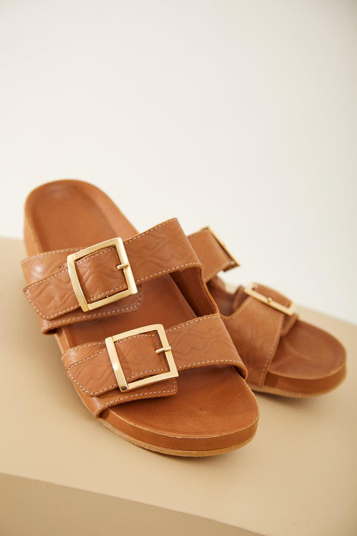 Birken Palma