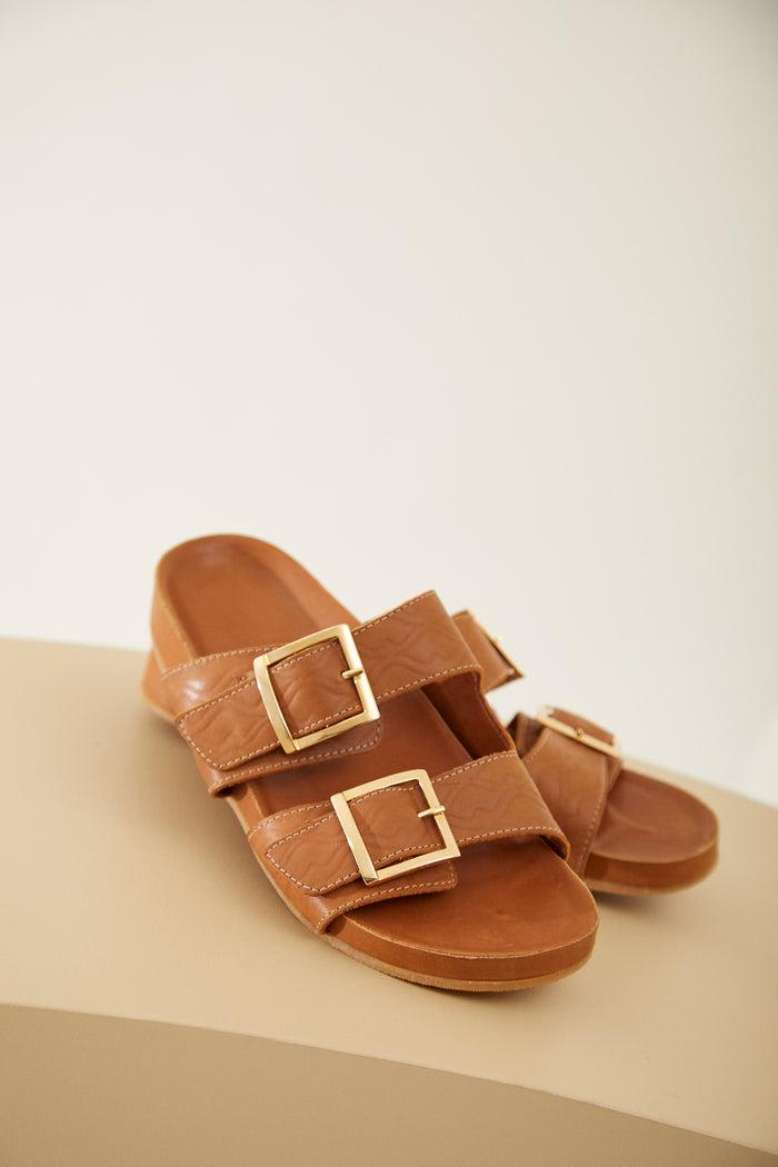 Birken Palma