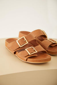 Birken Palma