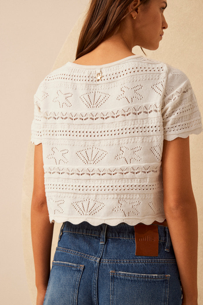 Top Shell