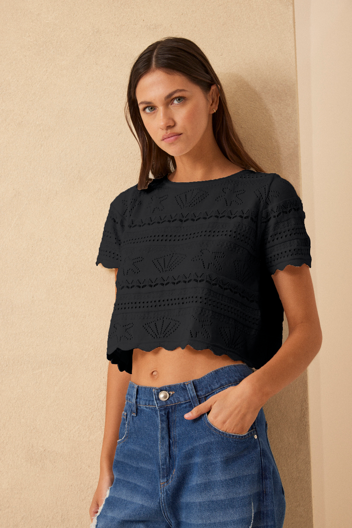 Top Shell